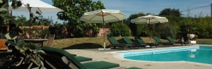 Gite Brittany Swimming pool