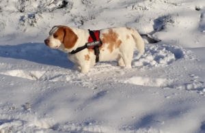 Brittany Archie in the snow